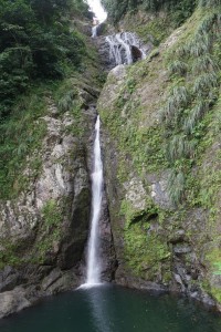 On our way down to Ponce we stopped to admire this graceful waterfall that crossed beneath the road.