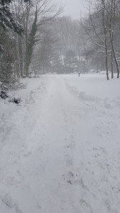 Blizzard 2016...plowing snow, thinking of sand.